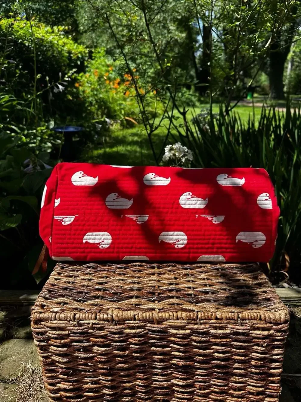 Dooney & Bourke Samantha Sport Duck Canvas Satchel in Red Y2K EUC ❤️ 🦆